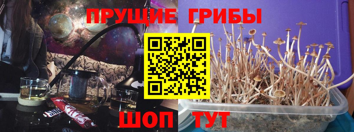 Галлюциногенные грибы Cubensis  Вход с VPN  Ишим  Галлюциногенные грибы Cubensis 