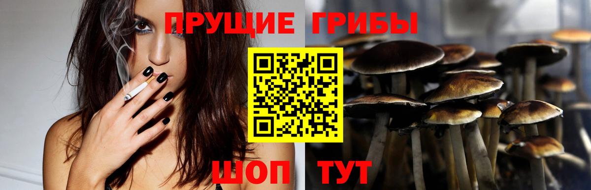 Галлюциногенные грибы мицелий Ишим